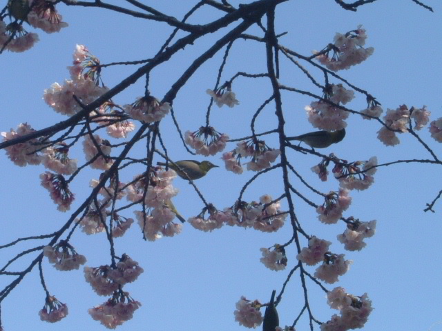 b0044296_20375743.jpg