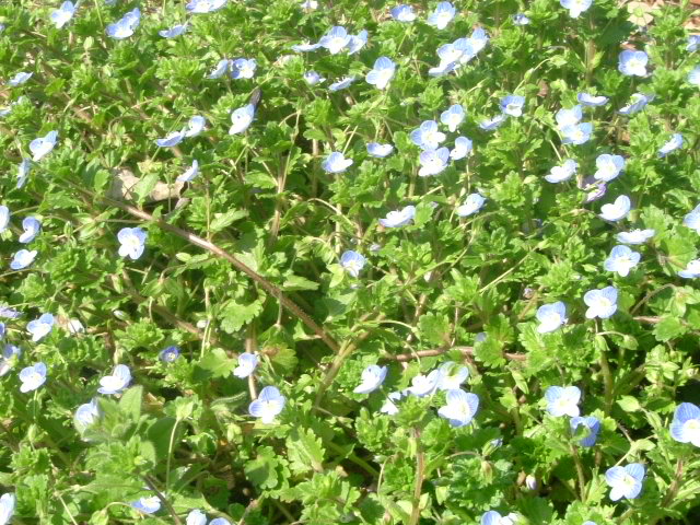b0044296_2041252.jpg