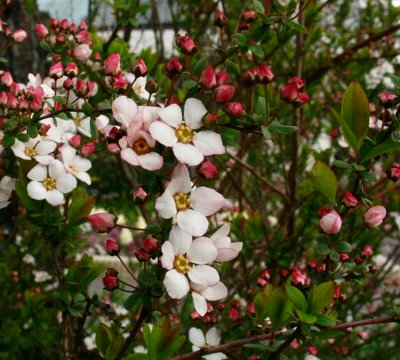 a0031000_135223.jpg