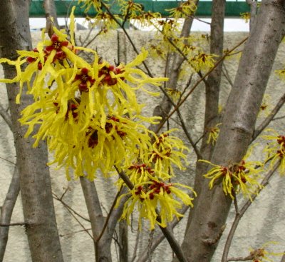 a0031000_14829.jpg