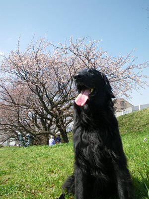 c0050400_10391838.jpg