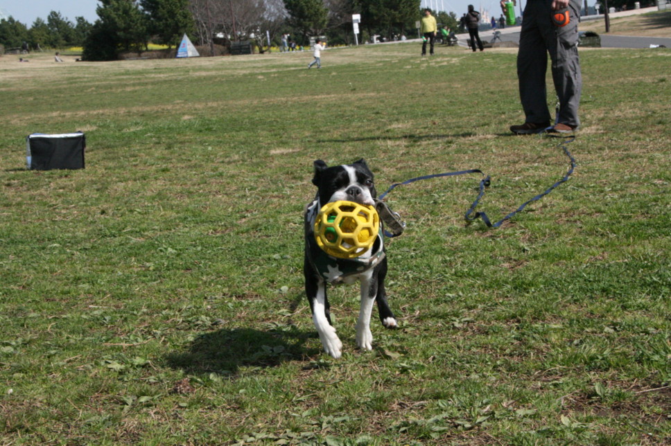 d0070702_22584257.jpg