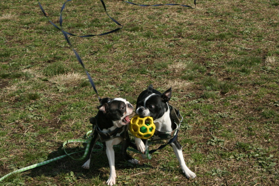 d0070702_230937.jpg
