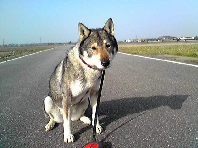 f0079202_15493496.jpg