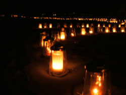 f0048405_12451759.jpg