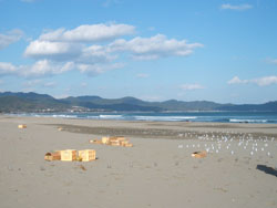 f0048405_1245285.jpg