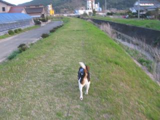d0104209_21564191.jpg