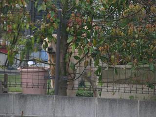 d0104209_21591684.jpg