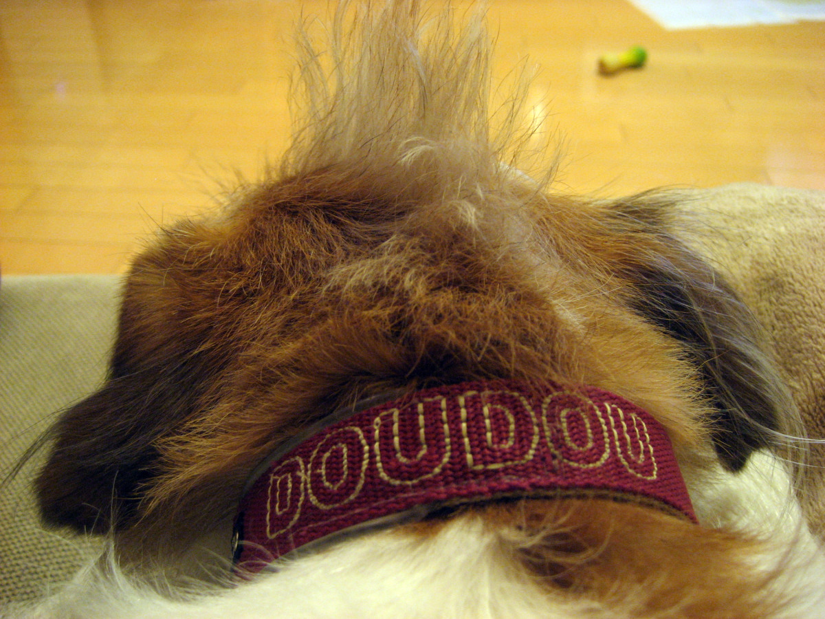 e0127409_21264761.jpg