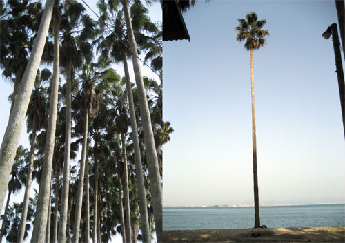 c0114110_19262512.jpg
