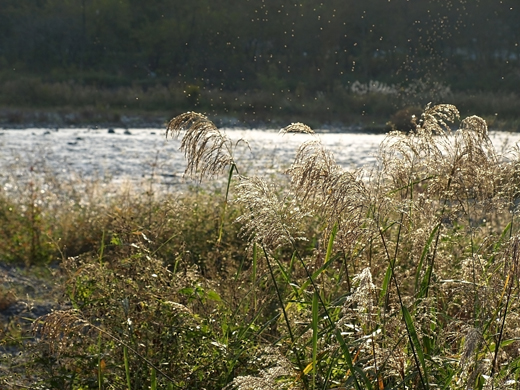 e0066210_23334415.jpg