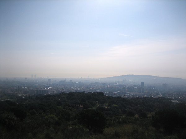 b0064411_172361.jpg