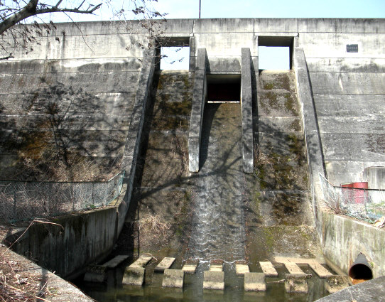 e0125014_13332887.jpg