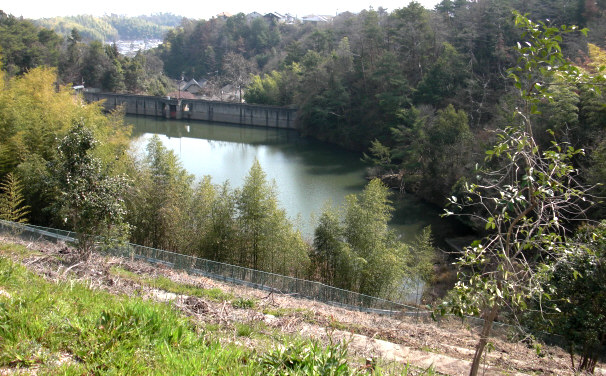 e0125014_13503844.jpg