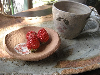 f0139520_1426168.jpg