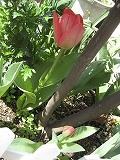 f0139520_14275562.jpg