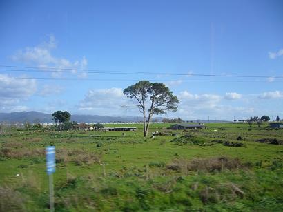 f0087323_22454834.jpg