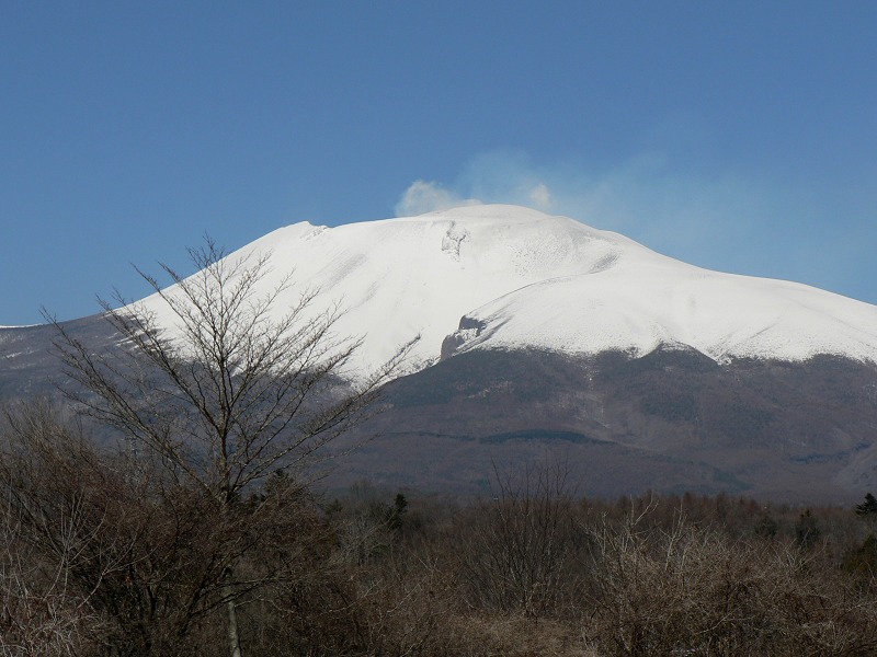 e0136424_881457.jpg