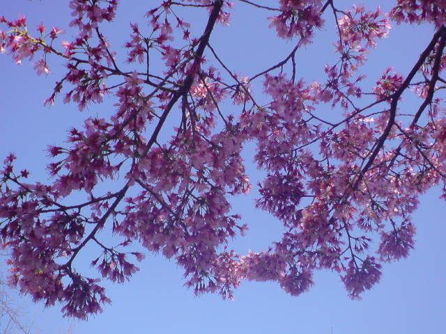 e0016828_2030458.jpg