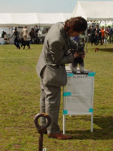 f0088731_233265.jpg