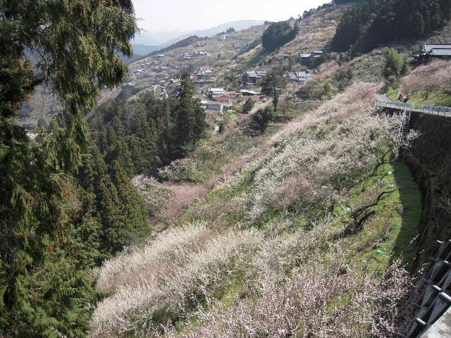 b0025633_2031997.jpg