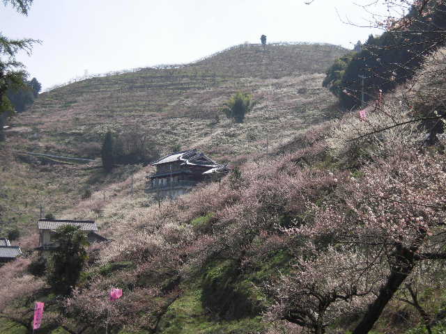b0025633_20322494.jpg