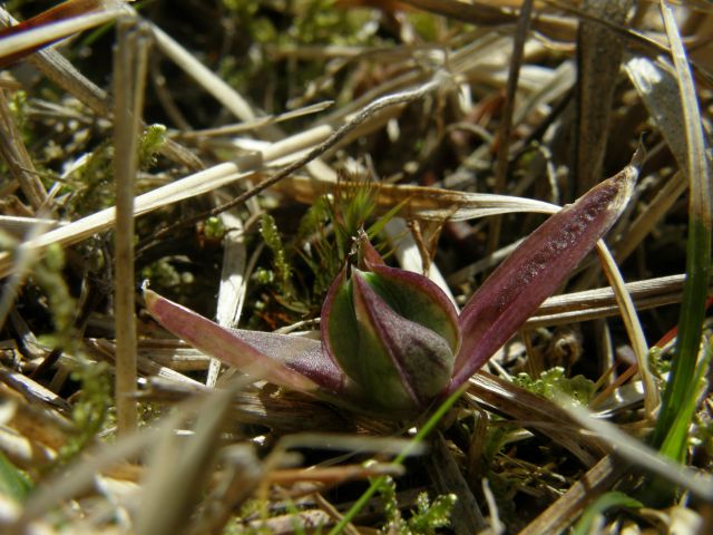 e0145033_21235710.jpg
