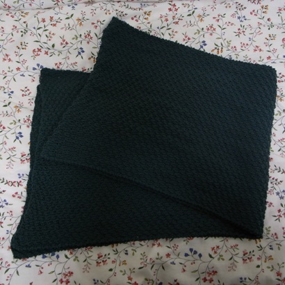d0029840_22281781.jpg