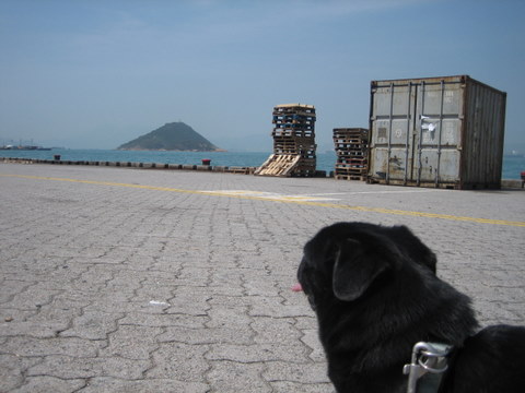 e0018143_13135120.jpg