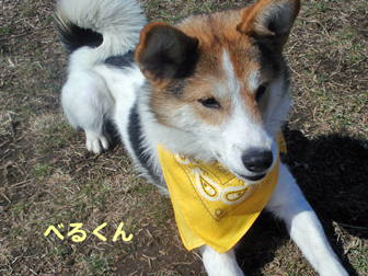 c0086746_312163.jpg