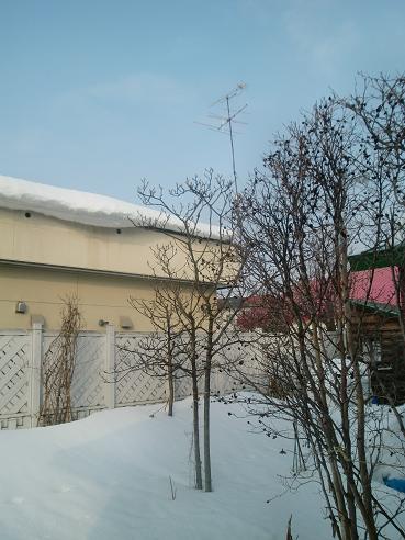 a0075455_7463794.jpg