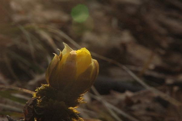 d0098057_492489.jpg
