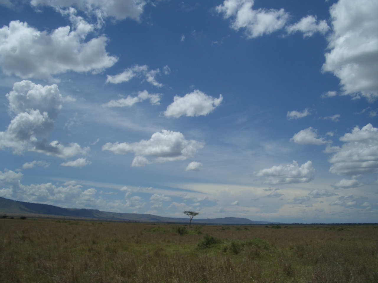 b0164067_1091542.jpg