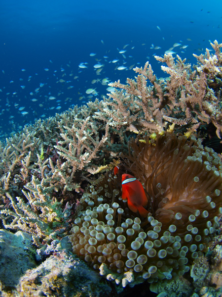 b0138768_22575350.jpg