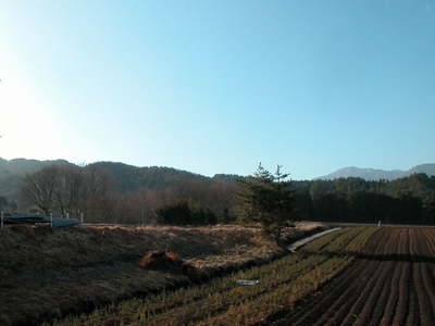 c0166668_20272299.jpg