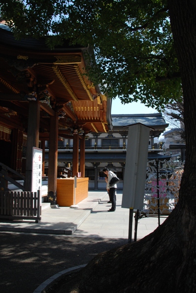 f0065768_16522191.jpg