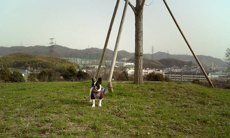 b0130273_21355529.jpg