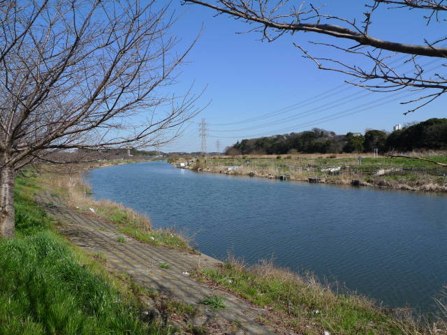 a0113874_2055116.jpg