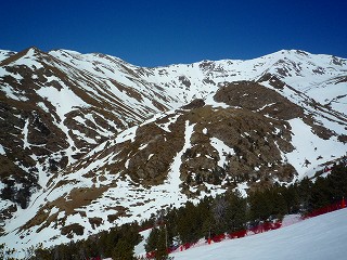 e0155786_85346.jpg