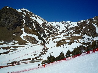 e0155786_863858.jpg