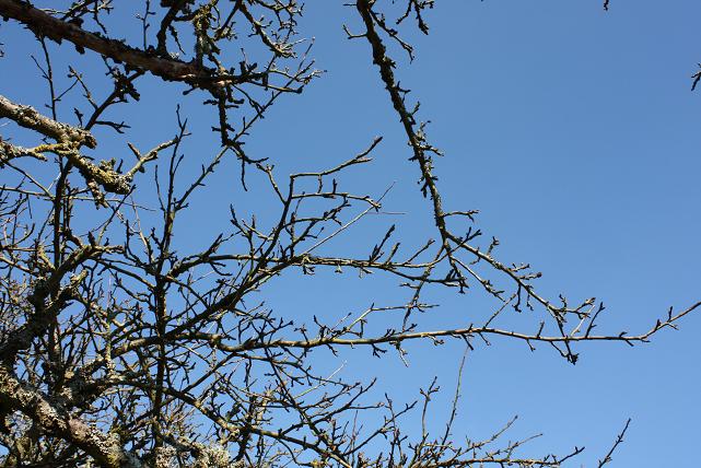 f0044892_612065.jpg