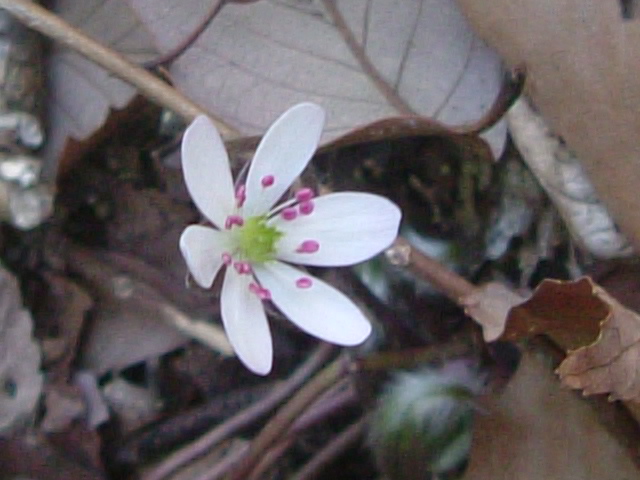 b0044296_10561465.jpg