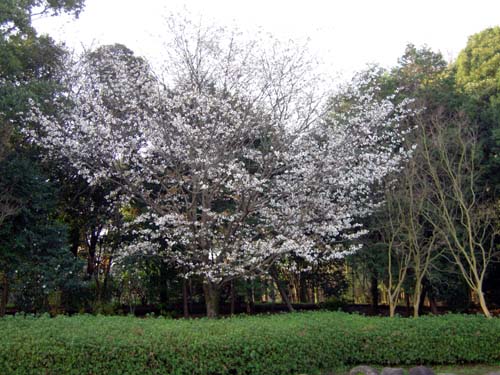 f0045097_141453.jpg