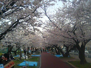 f0036700_13434674.jpg