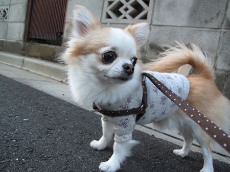 a0079803_047995.jpg