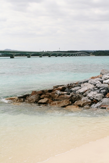 d0112003_20201143.jpg