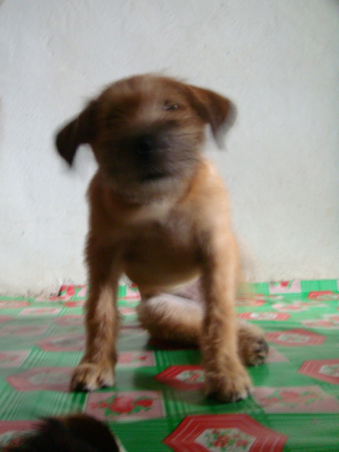 d0126508_2441778.jpg