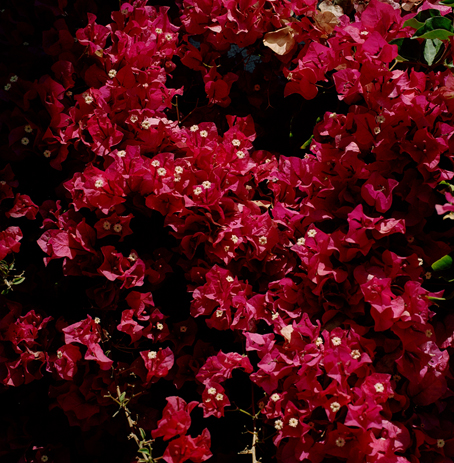 b0044713_021649.jpg