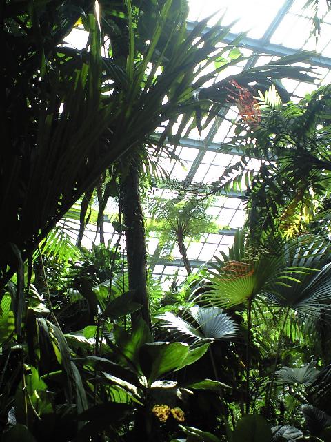e0123920_160284.jpg