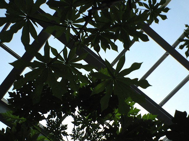 e0123920_1653529.jpg